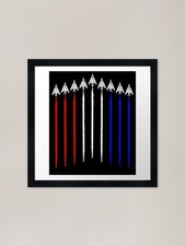 Listing image for F-117 Nighthawk Squadron Contrails Framed Wall Art Poster Canvas Print Picture